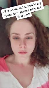 Beloved 19lb cat stolen in rental car at the Speedway in Harrison, NJ....