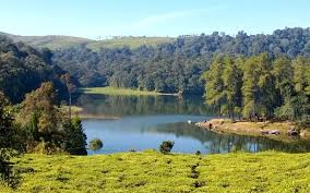 Berapa harga tiket masuk ranca upas bandung? Penginapan Strategis Di Kawasan Wisata Ranca Upas Ciwidey Bandung Penginapan Net 2021