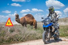 Camels can withstand variations in temperature. Bmwmotorrad On Twitter Happy Hump Day Riders Who Is Taking Off For A Mid Week Ride Thanks For The Photo Https T Co Cg3bn3ddvb Spiritofgs Bmwmotorrad R1200gs Makelifearide Https T Co Y8hk6dsaji