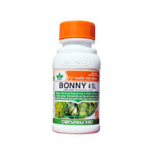 Bonny 4SL