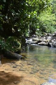 Bassin De La Riviere Bourceau Guadeloupe Little Paradise Pinterest