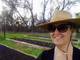 My tall roses continue to flower even in the cold weather.