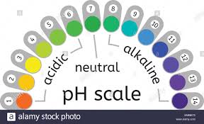 Ph Scale Stock Photos Ph Scale Stock Images Alamy