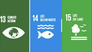 Sdg 13 is aimed at taking urgent action to combat climate change impacts by developing the capacity of each country to mitigate climate risks and work towards adaptation. 57 Climate Action Sdg 13 Sdg 14 Sdg 15 Youtube