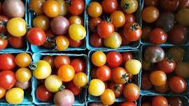 Lyndon Farmers’ Market