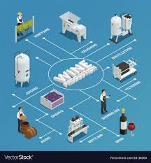 Wine Production Isometric Flowchart