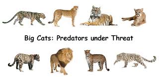 100 Days Until Un World Wildlife Day 2018 Cites