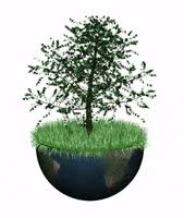 View all of green planet tree care's presentations. Green Planet Gifs Get The Best Gif On Giphy