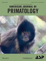 Image result for Landolphia bruneelii