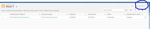 I Want To Add Change Owner Button On Opportunity List View Page Salesforce Developer Community