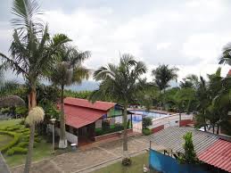 From wikipedia, the free encyclopedia. Piscina Auditorio Del Cafe Y Areas Verdes Dentro Del Ecohotel Picture Of Palestina Ecohotel Centro De Convenciones Chinchina Tripadvisor