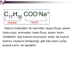 Biliyor musunuz sabun aslında bir mikrop öldürücü değildir. Sabun Ve Deterjan Kirleri Nasil Temizler Ppt Indir