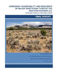 Image result for Leptochloa coerulescens