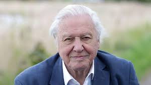 A #walkandchalk dedicated to David Attenborough,