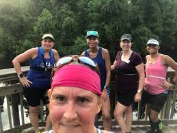 Check out this this amazing Anery Pygmy rattlesnake my friend discovered in  sunny Florida. What an epic snake find! 🐍🌿 @followers #snakes  #herpetology #floridawildlife #natureadventure