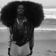 Instagram Photo By Bennyharlem May 18 2016 At 9 41pm Utc Long Hair Styles Men Benny Harlem Natural Hair Styles