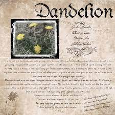 Dandy Lion Magical Herbs Witch Herbs Magickal Herbs