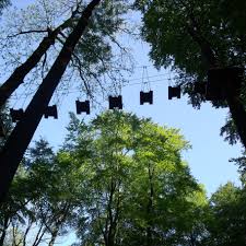 Kletterwald Im Nationalpark Hainich Nahe Kammerforst Nationalpark Wald Klettern