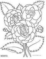 Begonia Colouring Pages Sketch Template Flower Coloring Pages Coloring Pages Floral Drawing
