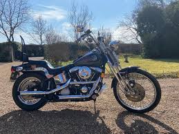 Image result for Mandarin Orange 1993 FXSTS