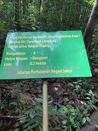 Dalam sesi ini, jabatan perhutanan negeri pahang telah berkongsi pengalaman pengurusan dan perancangan ter mossy forest kepada pihak kementerian. Wikiloc Gunung Lambak Station Big Tree Trail