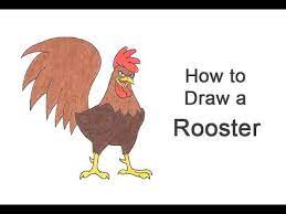 All you will need is a pencil, an eraser, and a sheet of paper. How To Draw A Rooster Cartoon Youtube