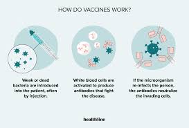 Image result for Immunization Status Unknown