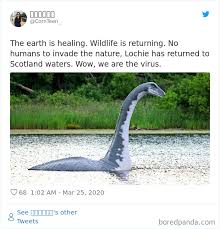 30 Funny Posts Of "Wildlife Returning' To Nature As Humans Are ...