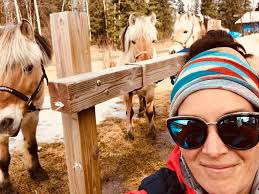 Breed 20 Santa Cruz booties for Socktober