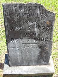 I Dig My Roots and Branches: May 2016