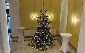 Die besten weihnachtsbäume im vergleich. Abfuhrtermine Weihnachtsbaume Hellweg Radio