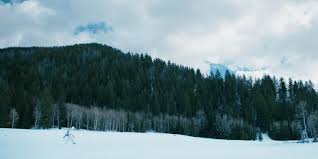 Résultat de recherche d'images pour "wind river film"