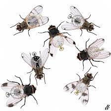 We did not find results for: Time Fly By Quotes Time Flies Quotes Clip Art Library Dogtrainingobedienceschool Com