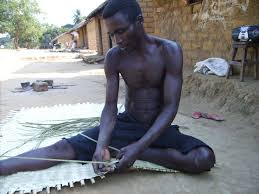 Image result for Pandanus candelabrum