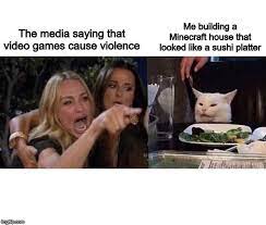 Woman Yelling At Cat Imgflip