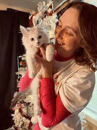 Injured orange female cat update: healing well