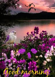 Image result for good morning flowers garden gif