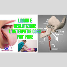 Deglutizione atipica e cervicalgia: losteopatia cosa può fare - Osteopata  Simonetta Alibrandi