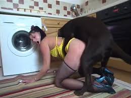 Bourgeoise Baisee En Levrette En Cuisine Par Son Chien