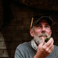 Island Creek Oysters