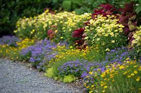 Discover six plants to grow with hardy geraniums. Best Garden Border Ideas Diy Network Blog Made Remade Diy