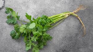 Maybe you would like to learn more about one of these? Bersihkan Racun Yang Ada Dalam Tubuh Dengan Rutin Minum Air Rebusan Daun Ketumbar Tribunnews Com Mobile