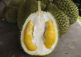Google has many special features to help you find exactly what you're looking for. 11 Jenis Buah Durian Popular Dan Digemari Di Malaysia