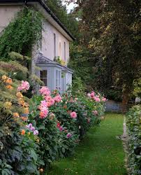 Charlie Mccormick On Instagram Today I Staked The Dahlias In The Border I Always Do It Far Too Late But Bette Dream Garden Landscape Design Planting Flowers