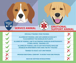 Pin On Animals