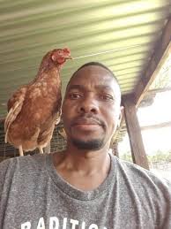 She has coryza when she was a chick, eyes were totally closed and in the  mouth too, every day I would clean the eyes and mouth, apply eye drops  every day until