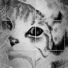 Transkip laporan wawancara tema wirausaha bahasa sunda sebenarnya laporan wawancara ini sudah dijadikan makalah untuk tugas basa sunda di sekolah beberapa hari yang lalu. Contoh Wawancara Dengan Petani Singkong Cara Golden