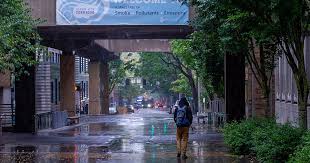 It may also be penalized or lacking valuable inbound links. Psu Students Struggle With Housing Food Insecurity Street Roots