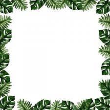 Tropical Border Frame Plant Monrea Plant Icons Frame Icons Border Png Transparent Clipart Image And Psd File For Free Download Framed Plants Tropical Frames Plant Icon
