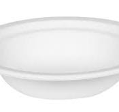 Eco Friendly Disposable Plates In Bulk